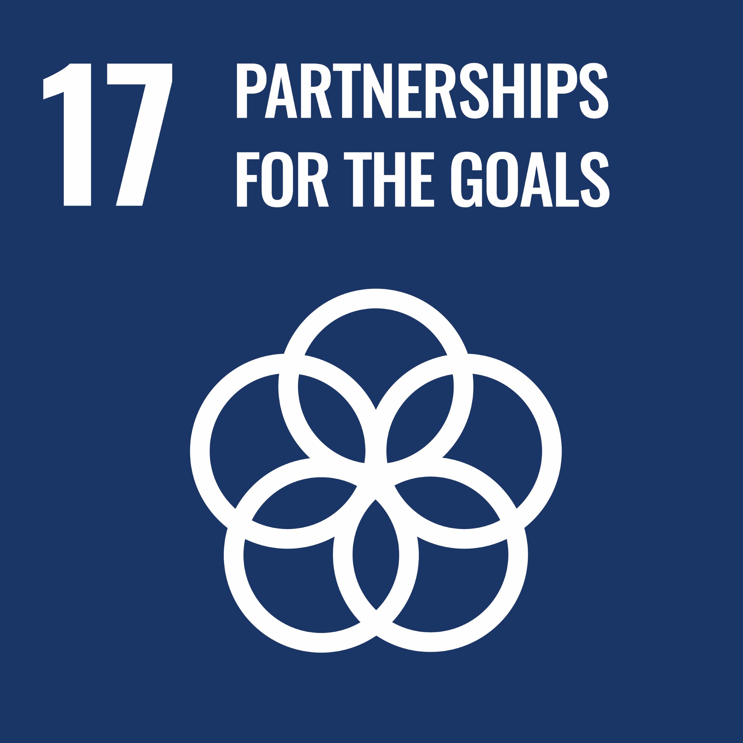 images Partnerships for the Goals