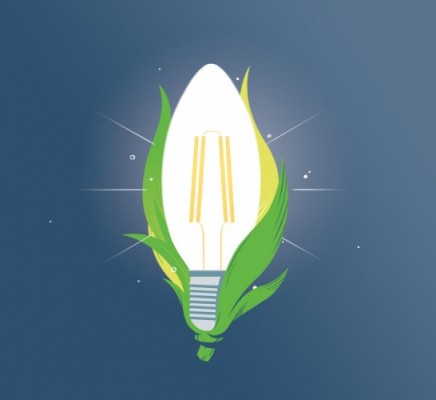 Light-bulb moment