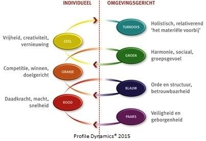Voorbeeld Profile Dynamics model