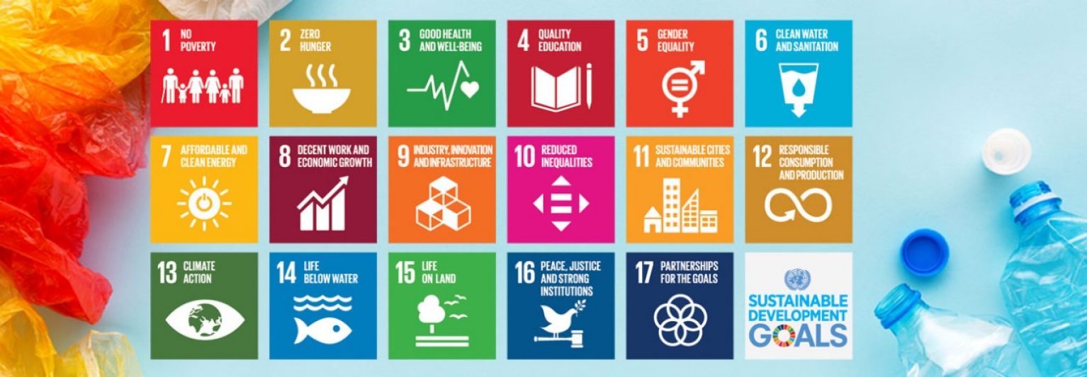 Sustainable Development Goals