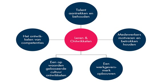 Redenen waarom organisaties investeren in Leren & Ontwikkelen, Nick van Dam (2021)