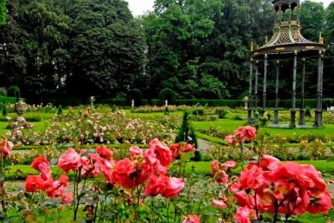 Rozentuin Nyenrode