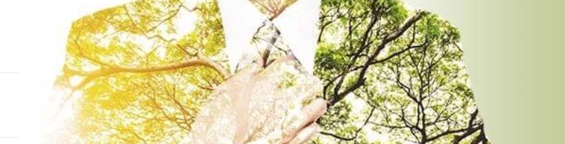 Business & Sustainability