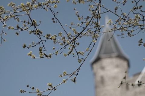 kasteeltoren