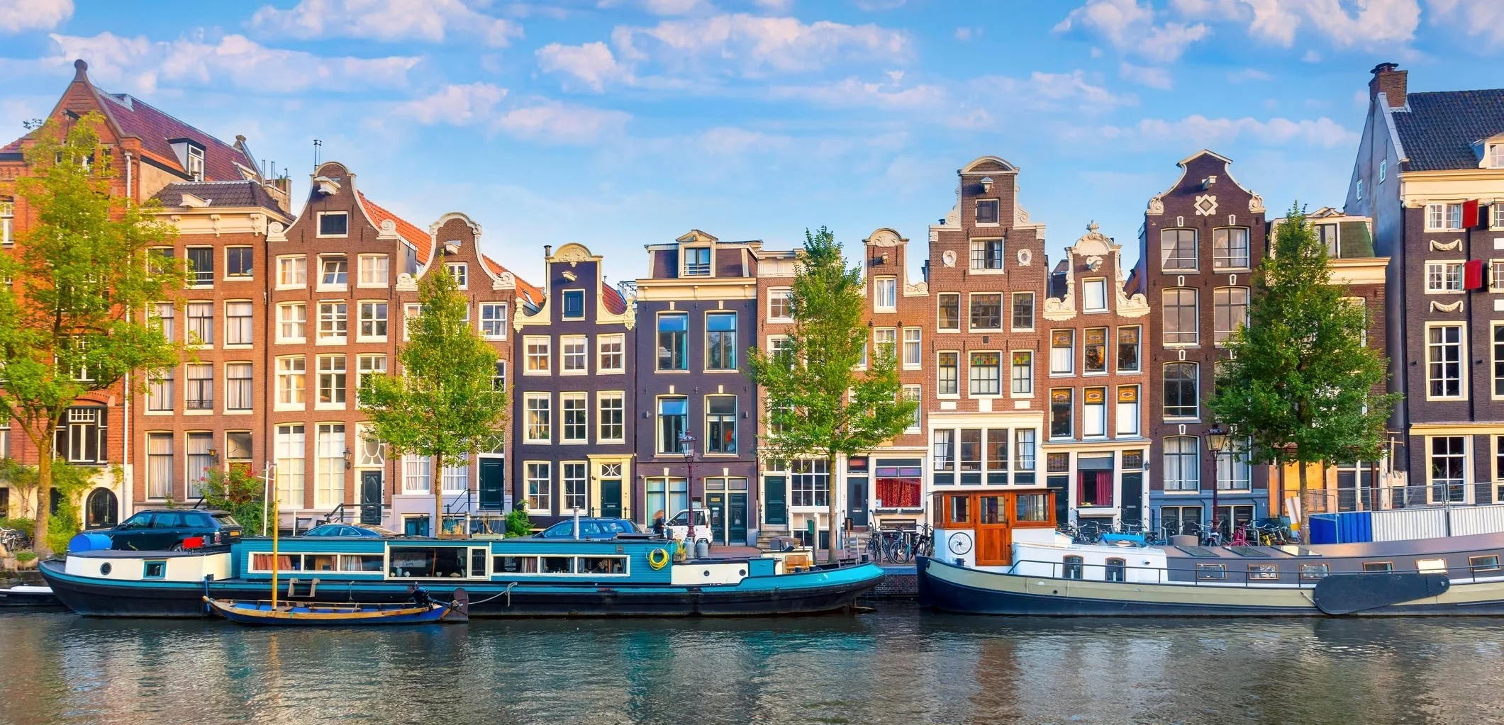 Nyenrode Study Immersions