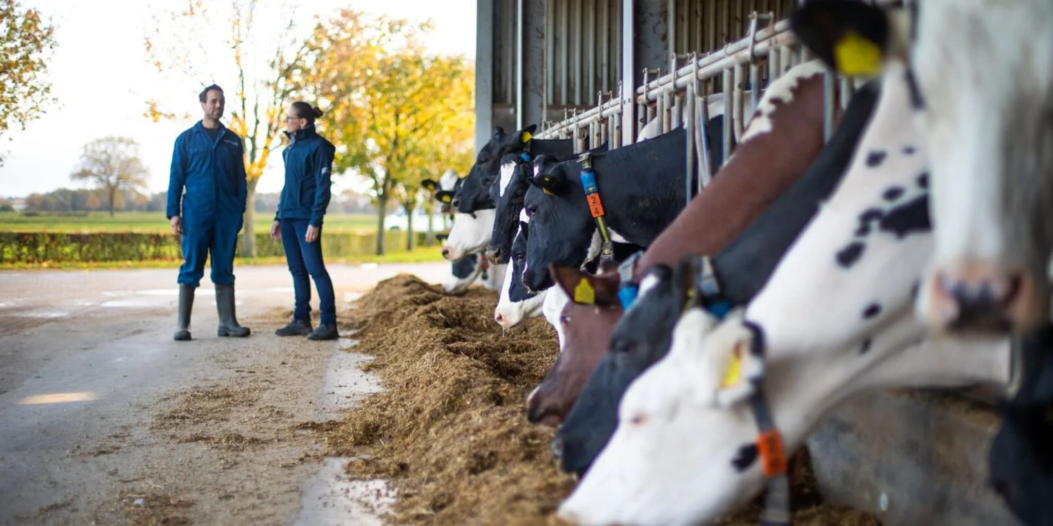 ForFarmers Nederland